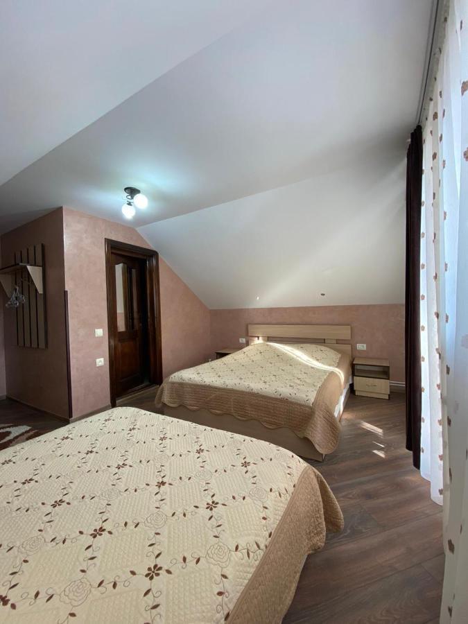 Pensiunea Casa Alexandra Vatra Dornei Exteriér fotografie