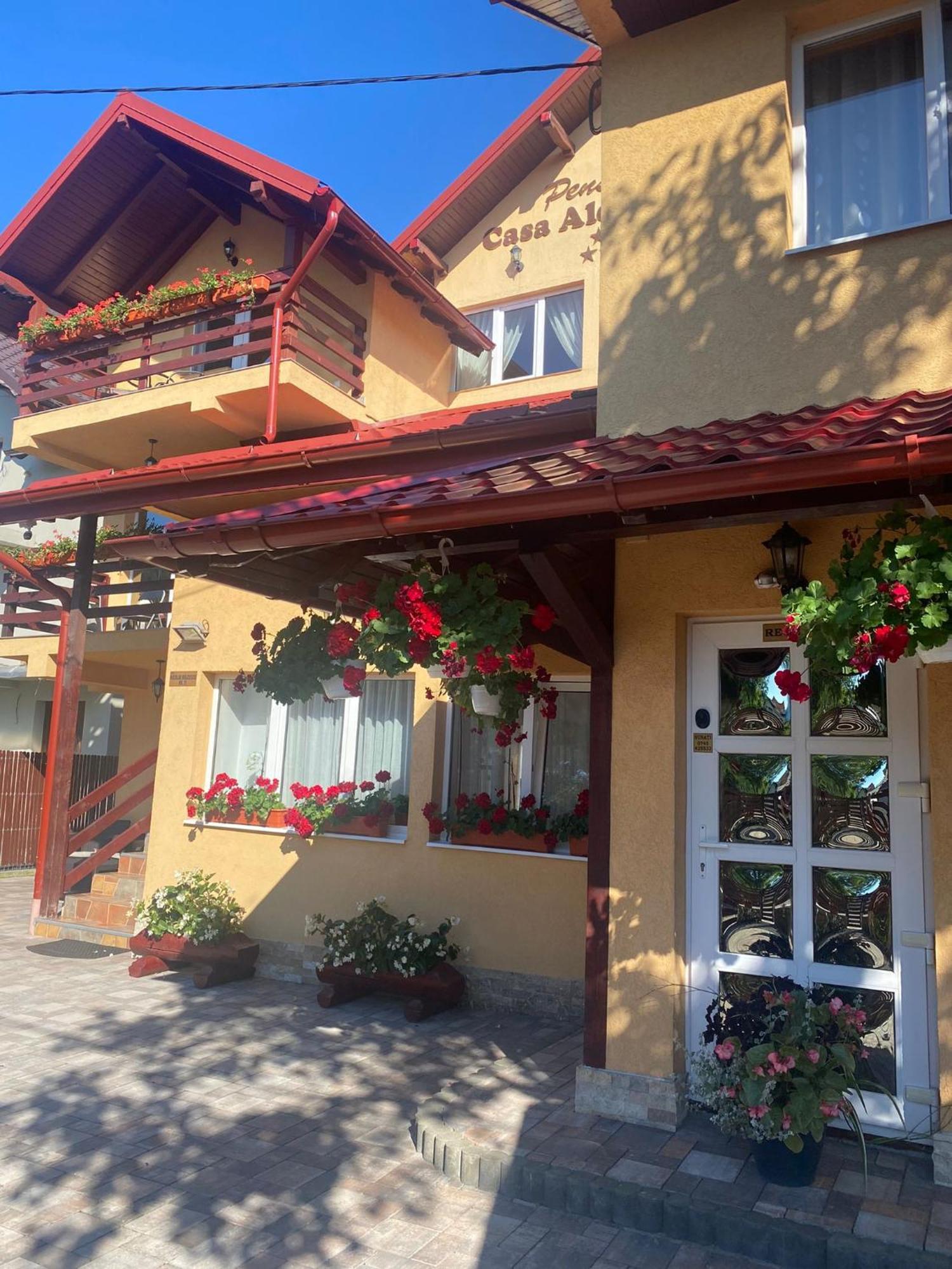 Pensiunea Casa Alexandra Vatra Dornei Exteriér fotografie