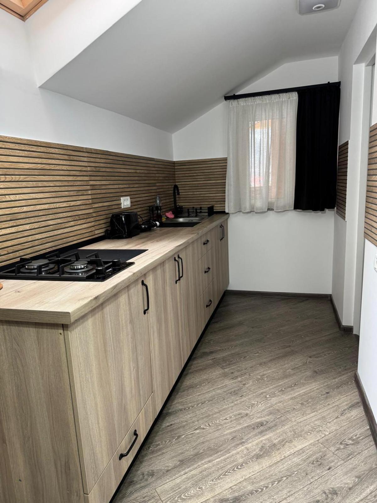 Pensiunea Casa Alexandra Vatra Dornei Exteriér fotografie