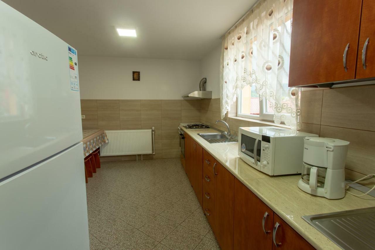 Pensiunea Casa Alexandra Vatra Dornei Exteriér fotografie