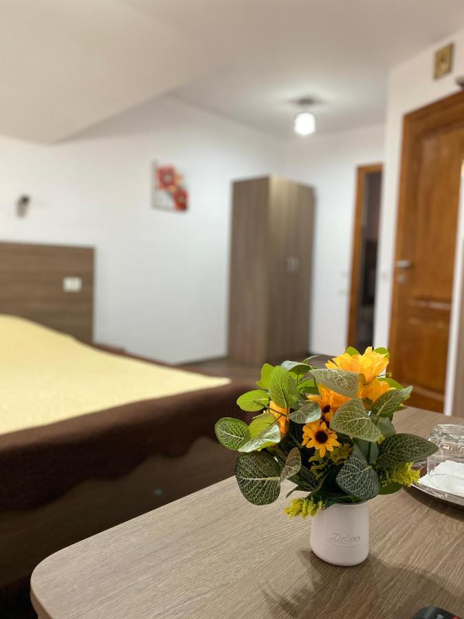 Pensiunea Casa Alexandra Vatra Dornei Exteriér fotografie