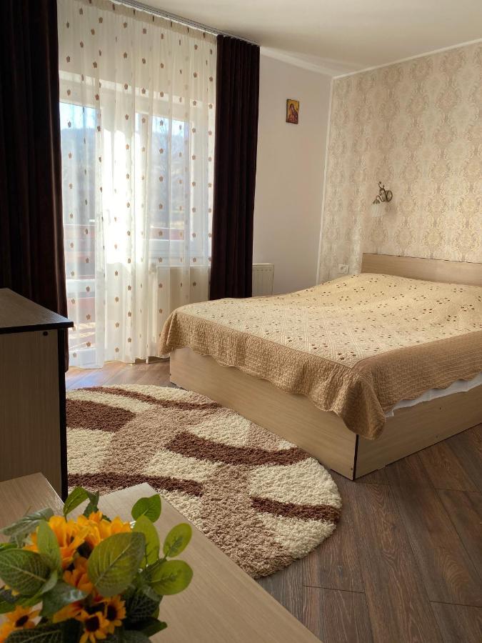 Pensiunea Casa Alexandra Vatra Dornei Exteriér fotografie